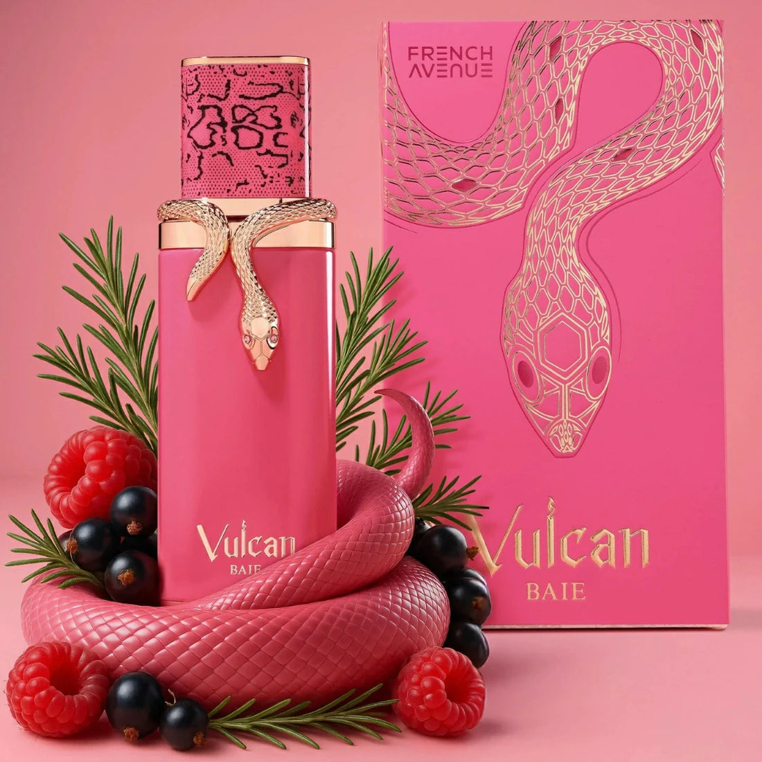 French Avenue Vulcan Baie EDP