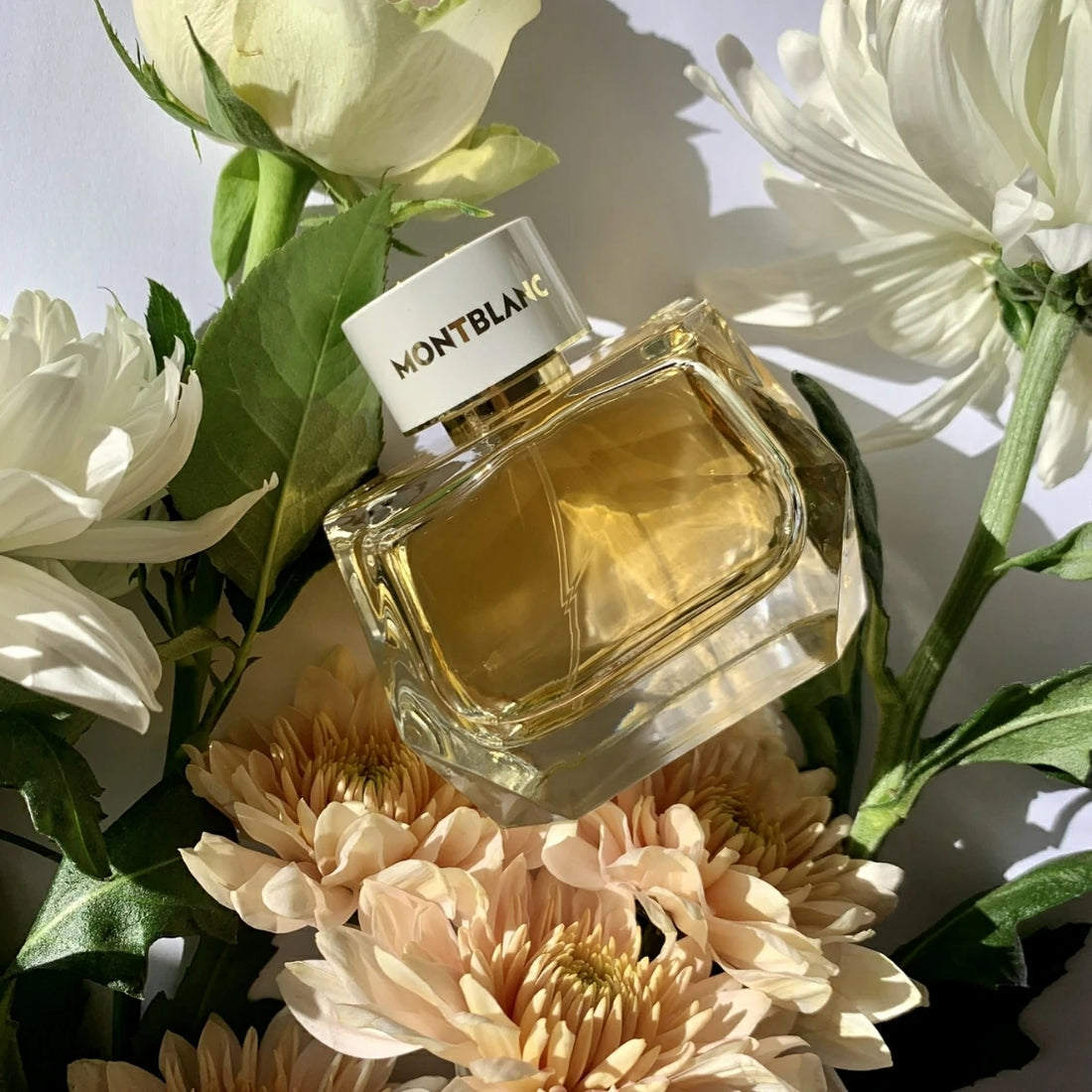 Mont Blanc Signature Absolue EDP
