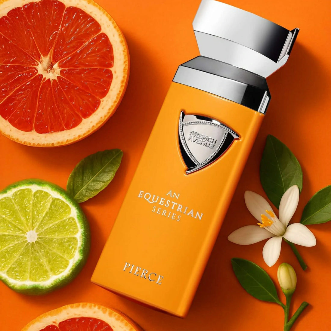 French Avenue An Equestrian Series Pierce EDP