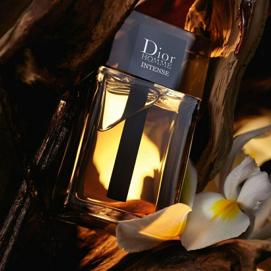 Dior Homme Intense EDP