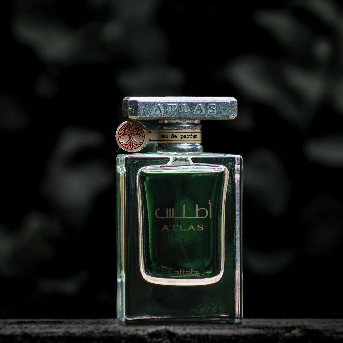 slider image slider_item_GhH9yD